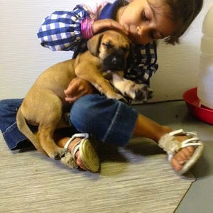 Meet your Posher, George